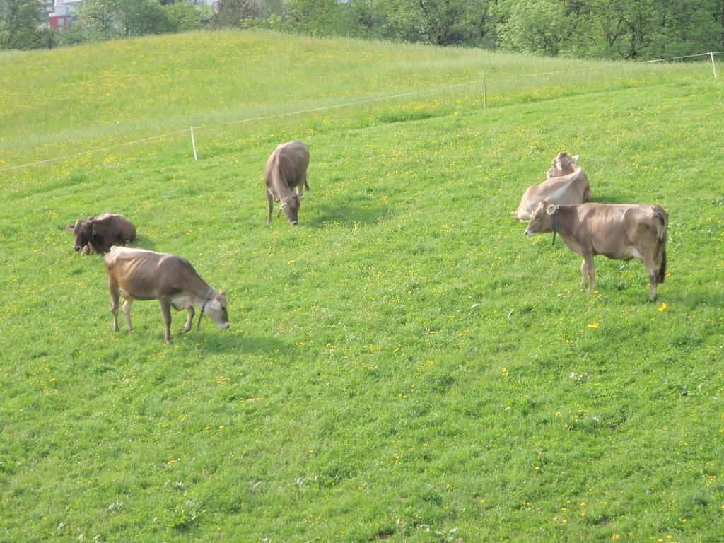 Obermooshof